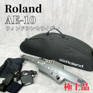 Z180 Roland AE-10 エアロフォン 楽器 ウィンドシンセサイザー Aerophone ケース付属
