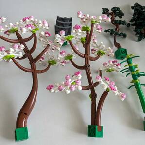 レゴ LEGO アイコン 禅ガーデン 10315 開封済品の画像3