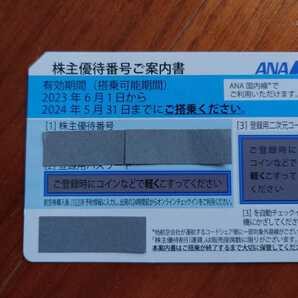 24/5月末期限 ANA 全日空 株主優待券 1枚の画像1