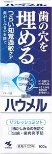 ハウメル 知覚過敏ケア ペースト 薬用ハミガキ 100g 歯の穴を埋める 小林製薬 【医薬部外品】 1個