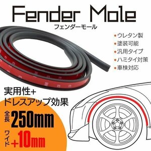 [ free shipping ] painting possibility!= over fender arch molding = fender molding all-purpose type width 10mm length 2.5m 250cm Raver fender 