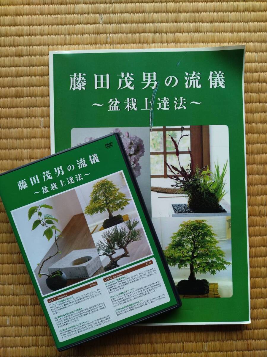 2025年最新】Yahoo!オークション -bonsai(本、雑誌)の中古品 2025年最新】Yahoo!オークション -bonsai(本、雑誌)の中古品