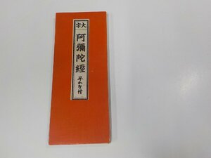 4P0030◆大字 阿弥陀經 平かな付 大八木 實 大八木興文堂 シミ・汚れ有☆