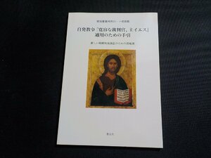 1P0308◆自発教令 『寛容な裁判官、主イエス』適用のための手引 使徒座裁判所ローマ控訴院 高久充 濱田了 田中昇 教友社☆