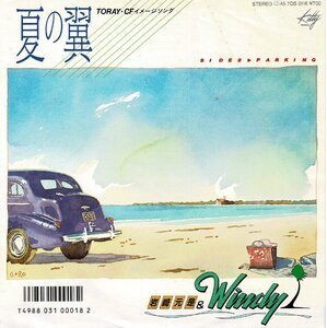 大滝詠一フォローワー第一人者/ウォールオブサウンド傑作 岩崎元是＆WINDY アナログ7インチEP『夏の翼/PARKING』