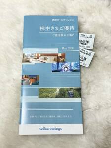  passenger ticket 2 sheets attaching * Seibu holding s* stockholder hospitality booklet 