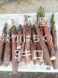 岐阜県産淡竹(はちく)たけのこ3キロ 採れたて無農薬
