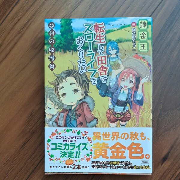 転生して田舎でスローライフをおくりたい　村の収穫祭　/　錬金王　小説