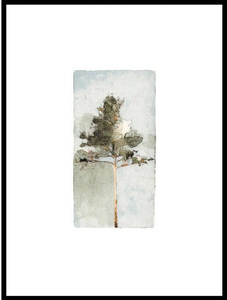 JORGEN HANSSON | The Pine no.2 | アートプリント/アートポスター (30x40cm) 北欧 スウェーデン パイン 松