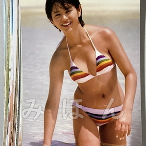 ☆ 小泉今日子 昭和アイドル L判 写真 50枚セットの画像4