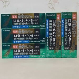 サンスター　薬用塩ハミガキ　生薬　当帰の力　すっきりハーブタイプ　5箱(本)