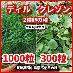 ディル＆クレソンの種【2種類セット】★栽培期間中農薬不使用の種