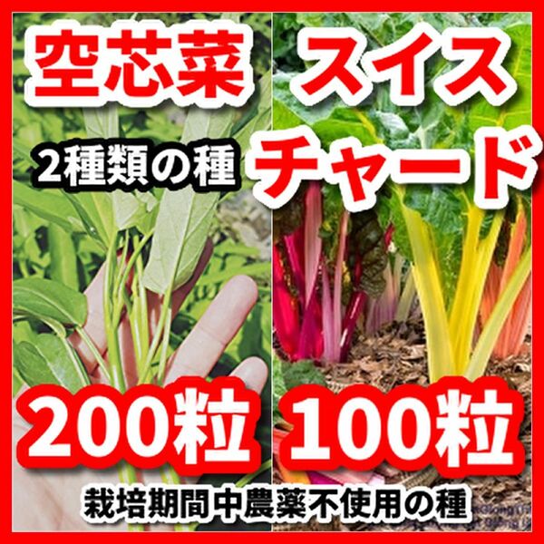 空芯菜＆スイスチャードの2種類の種セット★栽培期間中農薬不使用の種