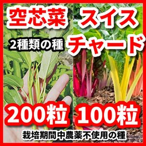 空芯菜＆スイスチャードの2種類の種セット★栽培期間中農薬不使用の種