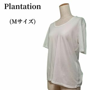 Plantation プランテーション Tシャツ 匿名配送