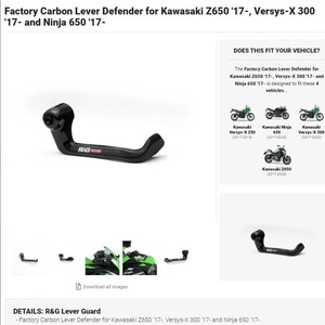 40%OFF★R&G カーボン ブレーキレバーガード VERSYS-X250 ヴェルシスX Z650 NINJA650 ニンジャ 2017 2019 2023 KAWASAKI カワサキ LG0011C