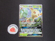 ポケモンカード　リーフィアGX　プロモ　268/SM-P　CHAMPIONSHIP SERIES 2019 あおばのいぶき_画像1