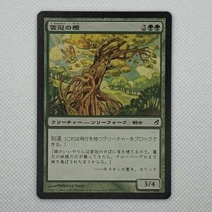 MTG《雲冠の樫/Cloudcrown Oak》[LRW] 日本語