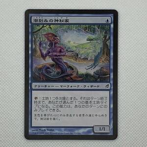 MTG《潮刻みの神秘家/Tideshaper Mystic》[LRW] 日本語