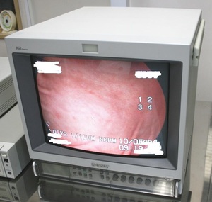 SONY Trinitron Color Video Monitor PVM-1455MDso NEAT linito long medical монитор Junk 