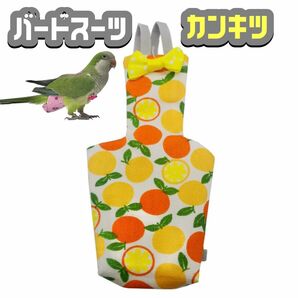 鳥服　バードスーツ　鳥　オムツ　M　インコ　可愛い　フライトスーツ　カンキツ　おめかし　着脱簡単　みかん　オレンジ　イエロー　黄色