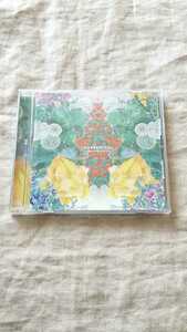 Novelbright WONDERLAND 中古 CD 送料180円～