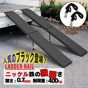 ラダーレール 折り畳み式 黒 ニッケル鉄合金 スタンド付き ベルト付き 全長191cm 重量6.5kg 耐荷重270kg 2本セット51608-1B