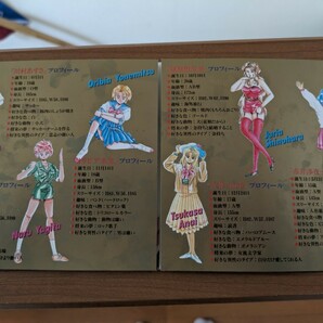 PCエンジン CD-ROM 美少女雀士アイドルパイの画像3