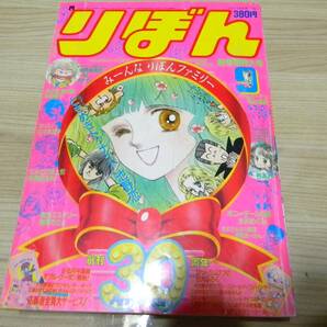 1985年りぼん創刊30周年記念号　池野恋ときめきトゥナイト・萩岩睦美　表紙に破れ