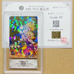 【ARS鑑定 10+】世界に1枚 孫悟飯: 少年期 H2-16 P ドラゴンボールヒーローズ PSA ARS10＋ 鑑定品 SDBH スペシャルメモリアルパック Vol.2