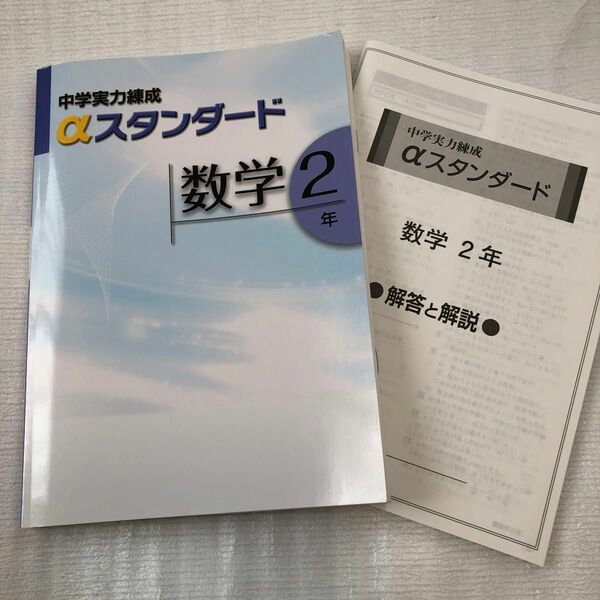 中学数学2年　中学実力練成αスタンダード　塾用