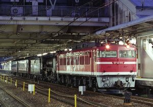 『３５㍉ネガ』EF81-95+D51-498+旧型客車②　カラーネガ