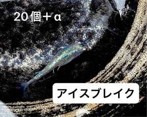 アイスブレイク　 有精卵　20個+α メダカ めだか　高級メダカ