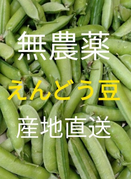 無農薬　新鮮　えんどう豆　奈良県産