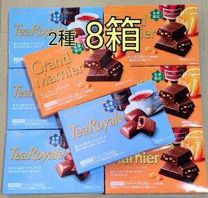 お値下げ！ロッテ　洋酒チョコレート　２種８箱　グランマルニエ　ティーロワイヤル