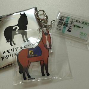 メモリアルヒーロー　アクリルキーホルダー　アクキー　エアグルーヴ　JRA Welcomeチャンス　ウェルカムチャンス　非売品　競馬