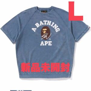 【新品未開封】完売品 A BATHING APE× SEAN WOTHERSPOON SWEAT TEE NAVY L スウェット/Tシャツ/半袖