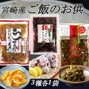 宮崎の漬物3種　各1袋　うまか醤油たくあん　梅っこきゅうり　ピリ辛高菜漬　ご飯のお供　行楽のお供　おにぎり　国産野菜使用　