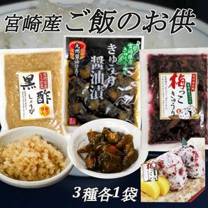 宮崎の漬物3種　黒酢生姜　きゅうりの醤油漬　梅っこきゅうり　各1袋　ご飯のお供　行楽のお供　お酒の肴　おにぎり　お茶漬