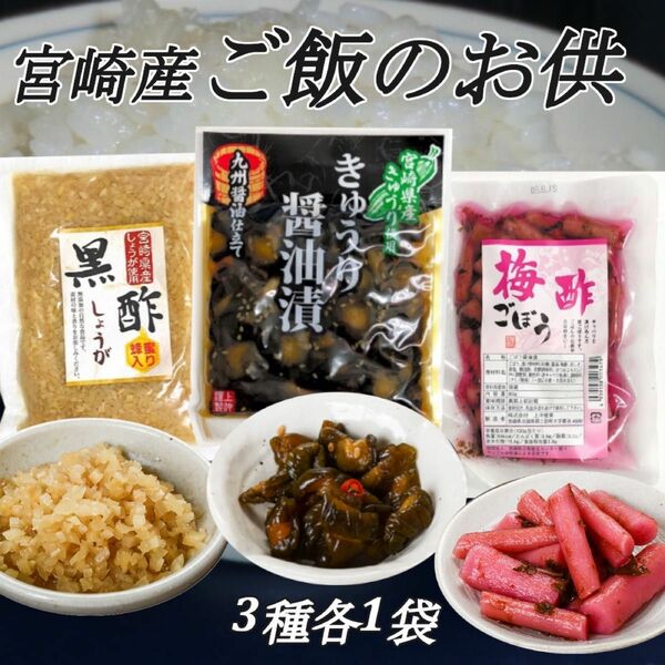 宮崎の漬物3種　黒酢生姜　きゅうりの醤油漬　梅酢ゴボウ　各1袋　ご飯のお供　行楽のお供　お酒の肴　お茶漬　おにぎり　トッピング