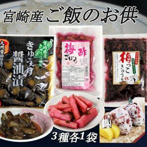 宮崎の漬物3種 梅っこきゅうり　梅酢ゴボウ　きゅうりの醤油漬　　　ご飯のお供　行楽のお供　おにぎり　お茶漬け　トッピング　お酒の肴