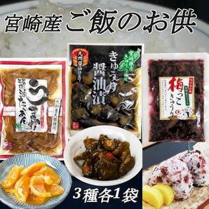 宮崎の漬物3種　各1袋　うまか醤油たくあん　きゅうりの醤油漬　梅っこきゅうり　ご飯のお供　行楽のお供　お酒の肴