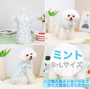 【ミント】犬服　サクランボ　フリル　ドッグウェア