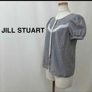 JILL STUART ジルスチュアート ストライプ柄カットソー グレー