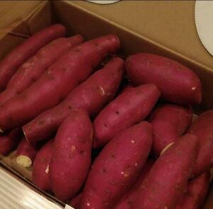  rare * limited amount goods * Toyama production red Hal ka sweet potato 1.5 kilo ~2 kilo * sweet potato *
