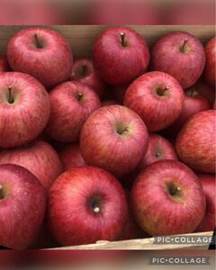 * with translation processing for ** Aomori production .... large amount 8~10 sphere go in box *.. apple Fuji apple *