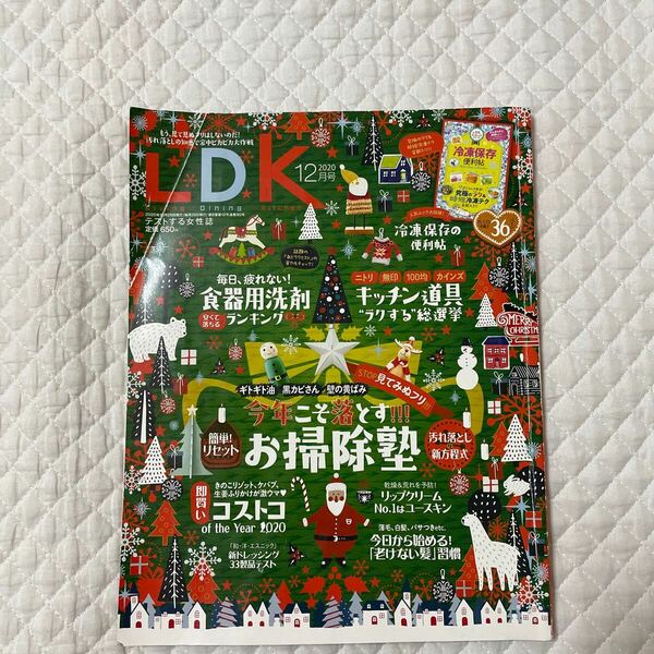 LDK 2020 12月号 バックナンバー 今年こそ落とす！お掃除塾 キッチン道具ラクする総選挙 食器用洗剤ランキング 晋遊舎 雑誌 エルディーケー