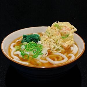 食品サンプル　かき揚げうどん　器付き