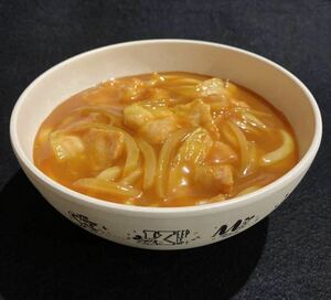 食品サンプル　カレーうどん　器付き