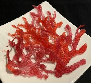 食品サンプル　海藻　赤トサカ